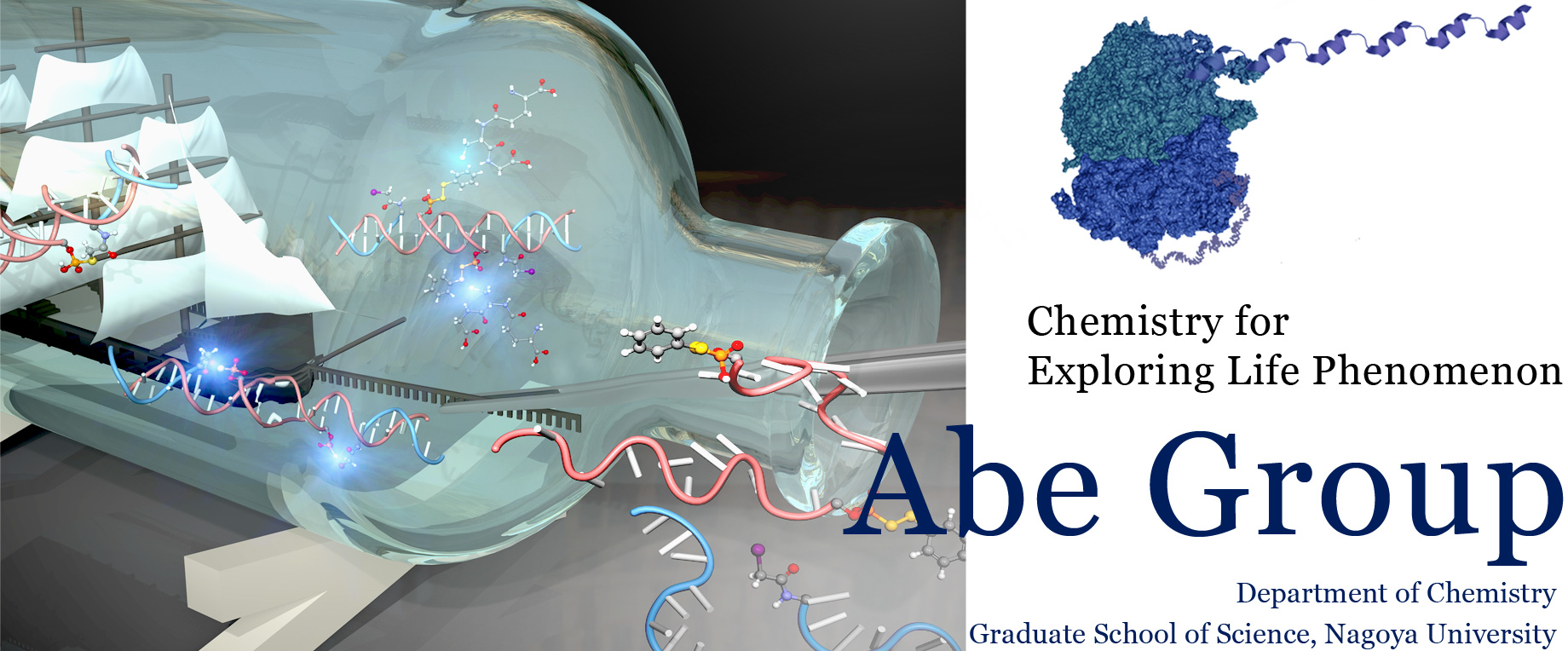 Chemistry for Exploring Life Phenomenon, Abe Group, Department of Chemistry, Graduate School of Science, Nagoya University