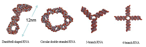 Figure 1 Nanosize molecular design